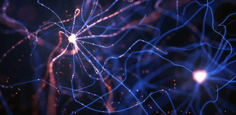 Machine Learning in the Browser with Tensorflow.js