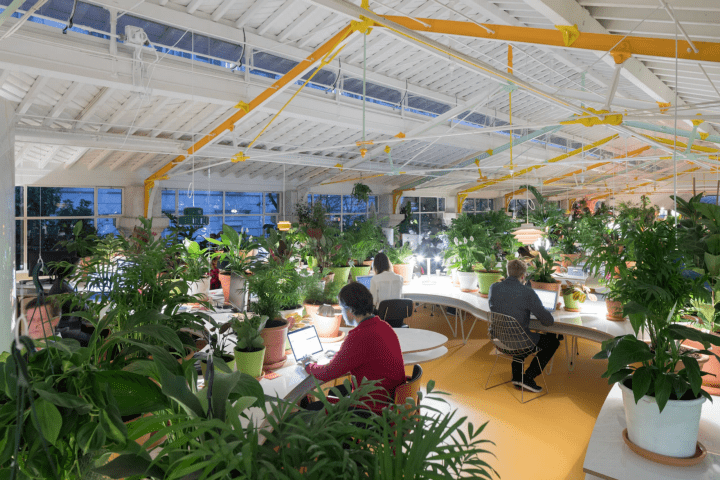 co-working space in Lisbon Portugal