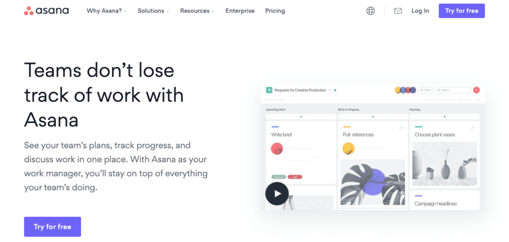 Asana from 24 Entrepreneurs