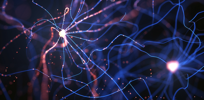 Machine Learning in the Browser with Tensorflow.js - Neural Networks