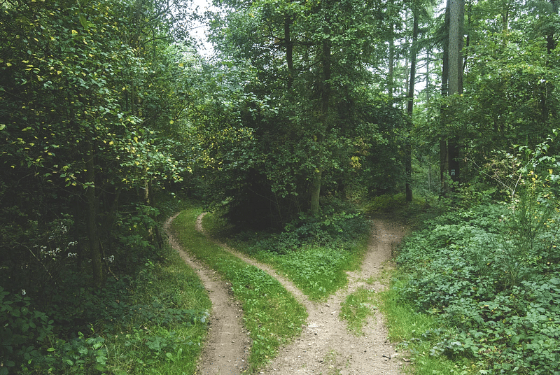 A Real Options Model for Tech Startups’ Valuation - The Managerial Flexibility